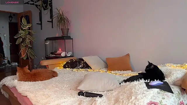 Lin Cherie online show from November 2025 11:21:02 AM