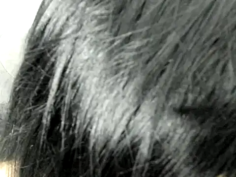 Snapshot of Amminna chatting on November 2025 12:35:02 AM Amminna online show from November 2025 12:35:02 AM