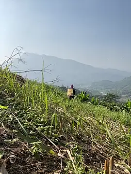 Snapshot of Irin_jo chatting on November 2025 06:46:01 AM Irin jo online show from November 2025 06:46:01 AM