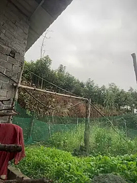 Irin jo online show from February 2026 12:31:01 AM