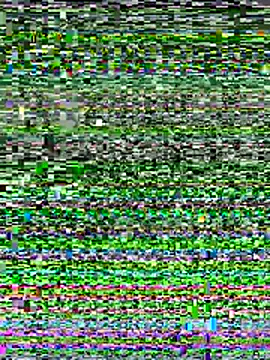 2k7-sex online show from January 2026 07:11:02 AM