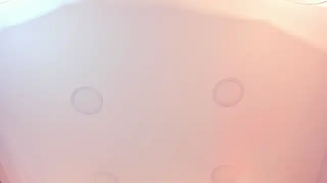 Snapshot of thara__smith chatting on October 2025 08:00:02 AM thara  smith online show from October 2025 08:00:02 AM