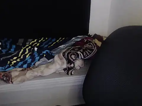 Snapshot of Negritatata chatting on November 2025 11:13:02 AM Negritatata online show from November 2025 11:13:02 AM