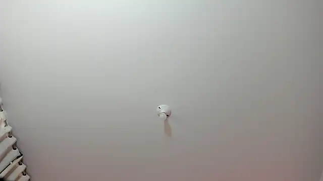 eimyy rouse online show from February 2026 07:46:01 PM