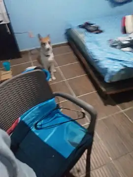 666Daemon666 online show from January 2026 05:12:02 AM