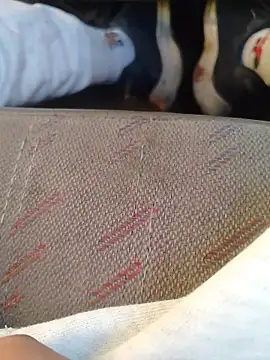 666Daemon666 online show from January 2026 11:19:01 PM