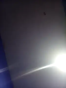 HSexy Men00 online show from November 2025 08:59:02 AM