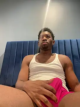 BigDawgStatusBalHarbour online show from August 2026 12:36:02 PM