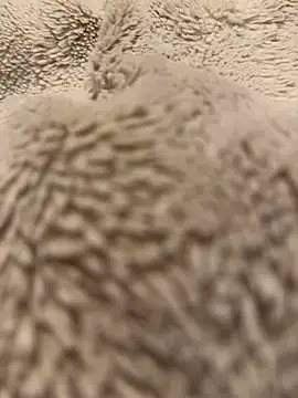 Snapshot of Jackoff2345 chatting on February 2026 05:25:02 AM Jackoff2345 online show from February 2026 05:25:02 AM