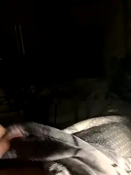 bfelipedasilva online show from October 2025 11:57:01 PM