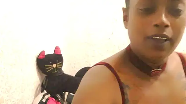 DOVE85 online show from December 2025 11:47:01 AM