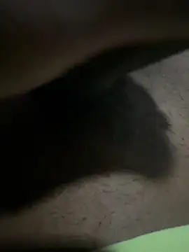 vijay20k online show from January 2026 12:57:01 AM