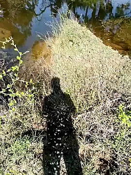 devil boy 0909 online show from November 2025 05:29:02 AM