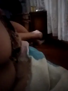 pampa4456 online show from December 2025 05:23:01 AM