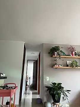 Snapshot of SugarTroubl33 chatting on November 2025 01:33:02 PM SugarTroubl33 online show from November 2025 01:33:02 PM