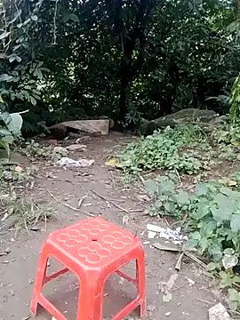 Snapshot of doggy-00 chatting on July 2026 11:30:02 AM doggy-00 online show from July 2026 11:30:02 AM