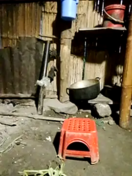 Snapshot of doggy-00 chatting on July 2026 10:20:02 PM doggy-00 online show from July 2026 10:20:02 PM