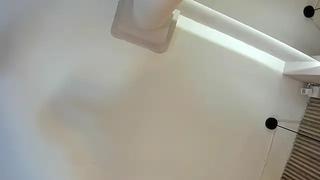 VenuzSofia online show from February 2026 10:36:01 PM