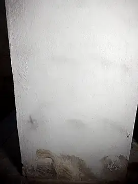 BD 228 online show from February 2026 12:06:01 AM