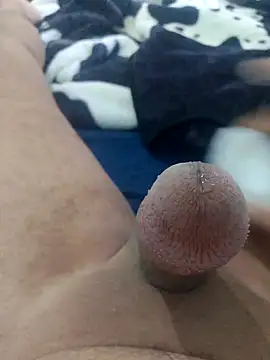 Snapshot of Ayoub_ben27 chatting on November 2025 03:45:02 PM Ayoub ben27 online show from November 2025 03:45:02 PM