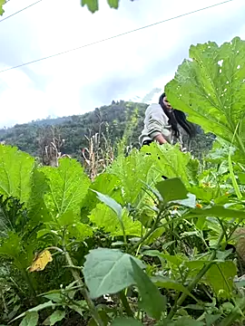 Snapshot of heodat-sexx chatting on December 2025 09:48:01 AM heodat-sexx online show from December 2025 09:48:01 AM