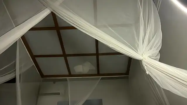 Bae Belle online show from December 2025 02:19:01 AM