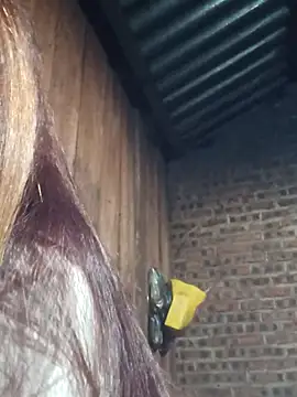 Snapshot of HGiasexy69 chatting on November 2025 10:23:01 PM HGiasexy69 online show from November 2025 10:23:01 PM