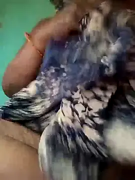 sunita kumari87 online show from November 2025 03:56:01 PM