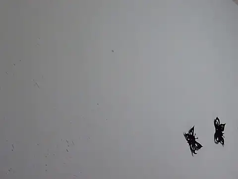 Morticia Black online show from January 2026 08:01:02 PM