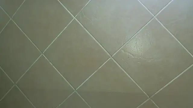 Snapshot of NewBeginnings8 chatting on December 2025 12:53:02 PM NewBeginnings8 online show from December 2025 12:53:02 PM