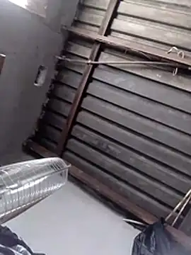 Snapshot of Teddypuer chatting on November 2025 12:40:02 PM Teddypuer online show from November 2025 12:40:02 PM