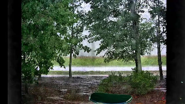 Samaraa Lee online show from January 2026 08:54:01 PM