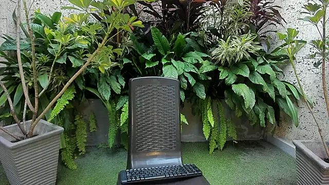 Staarhot online show from February 2026 12:26:02 PM