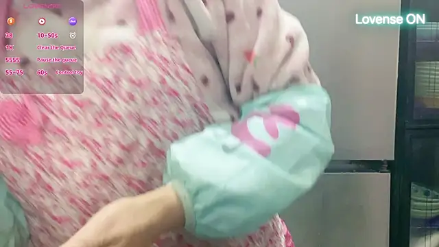 Snapshot of 0xiaosu0 chatting on November 2025 09:13:02 AM 0xiaosu0 online show from November 2025 09:13:02 AM