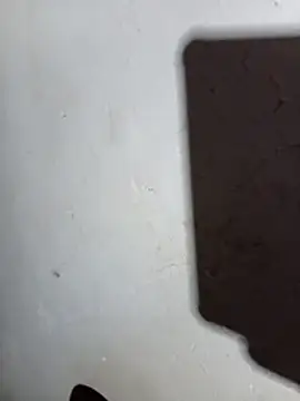 DK 9396 online show from April 2026 06:21:01 PM