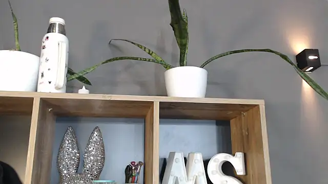 mickystrumia23 online show from January 2026 06:44:01 PM