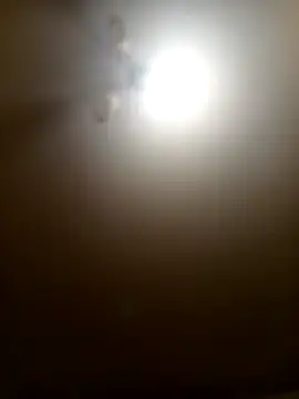 Niesmialyy online show from February 2026 08:16:01 PM