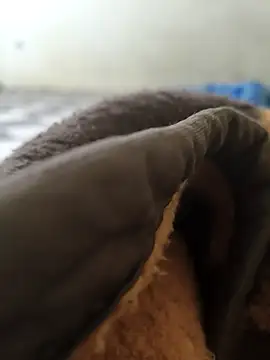 Snapshot of Realverse chatting on November 2025 04:40:01 PM Realverse online show from November 2025 04:40:01 PM