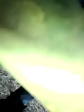 Snapshot of Realverse chatting on November 2025 04:49:01 PM Realverse online show from November 2025 04:49:01 PM