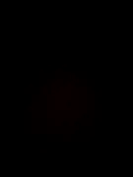 kobzzlad online show from November 2025 01:08:01 AM