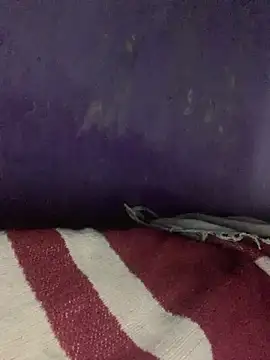 hotman29 online show from February 2026 01:00:02 AM