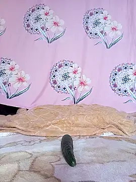 Snapshot of sdlmona chatting on December 2025 01:07:01 PM sdlmona online show from December 2025 01:07:01 PM