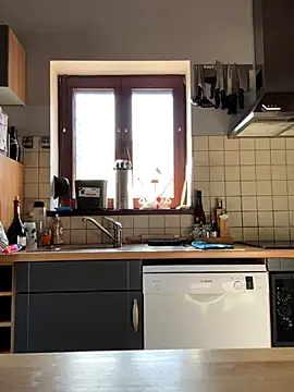 slt29 online show from November 2025 11:54:01 AM