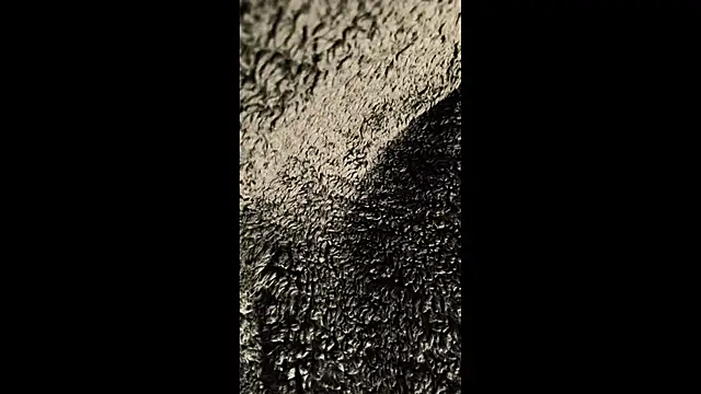 thewarmbear online show from November 2025 03:02:01 PM