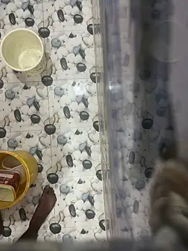 Snapshot of nehasharmanewgirl chatting on November 2025 06:31:01 PM nehasharmanewgirl online show from November 2025 06:31:01 PM