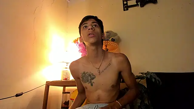 Snapshot of lucian_davii chatting on December 2025 02:33:01 PM lucian davii online show from December 2025 02:33:01 PM