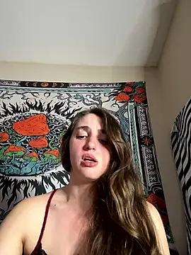 secretknight Mrmask online show from November 2025 07:19:01 PM