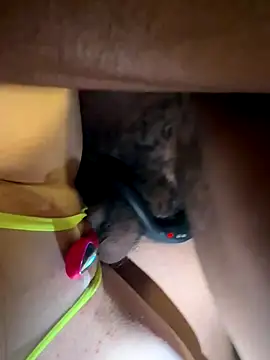 secretknight Mrmask online show from November 2025 07:18:02 AM