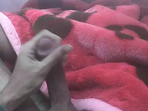 zero1122twt online show from February 2026 05:12:02 AM