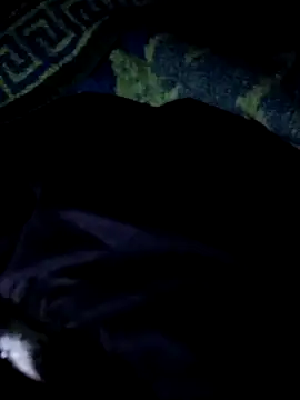 Snapshot of Darkkknet chatting on November 2025 10:30:01 PM Darkkknet online show from November 2025 10:30:01 PM